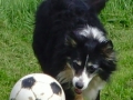 Keiko soccer 2